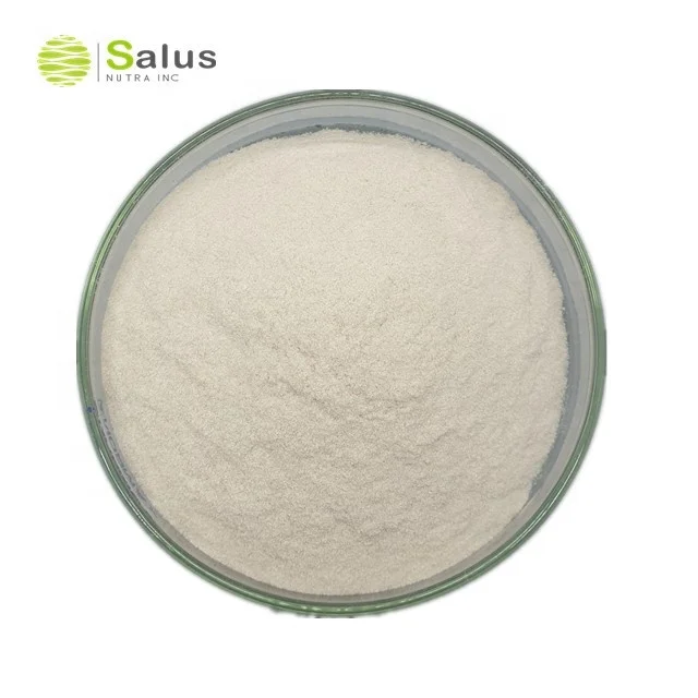 Salus Provide Best Price Chitosan Powder Chitosan