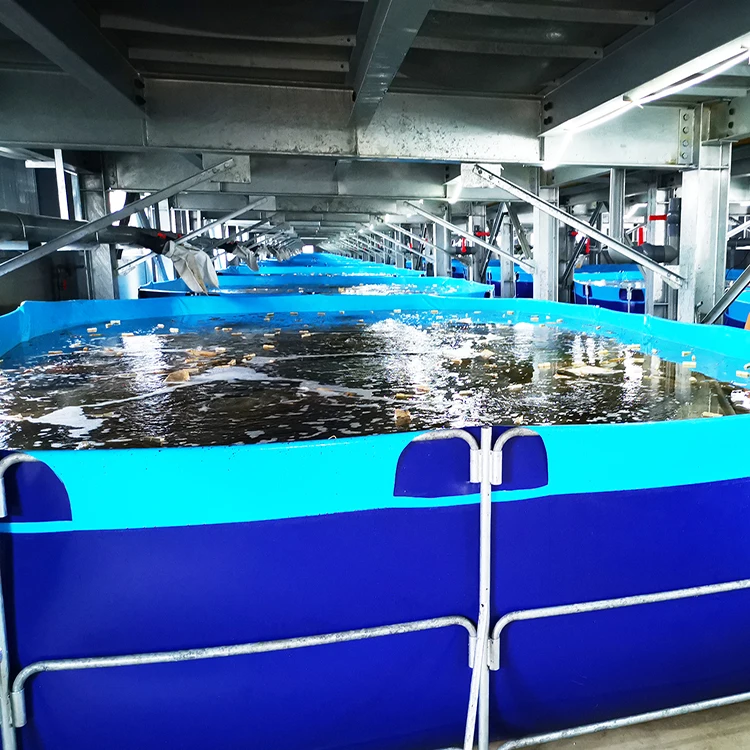 High quality Anti-leaking 15000L stainless steel fish farming water tanks ras tank fish farm