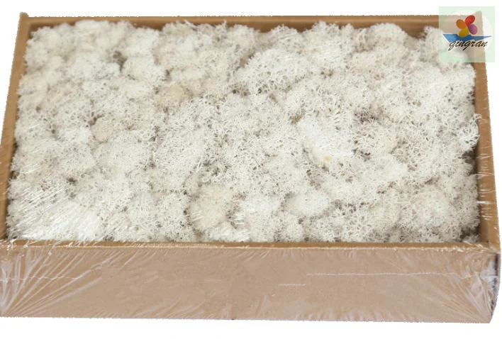 Preserved moss natural and real touch moss 200g and 500g