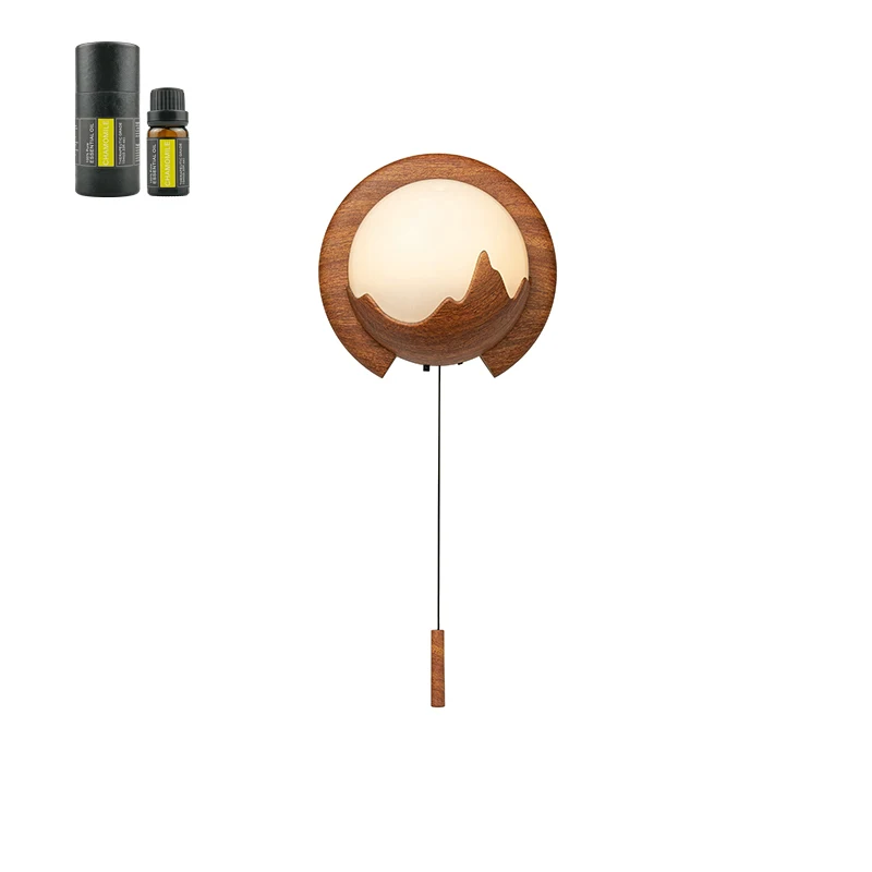 Newest Private Home Office Customized Nano Cool Mist Nebulizer USB Battery Oil Diffuser Wall Mounted Electric Mist Maker