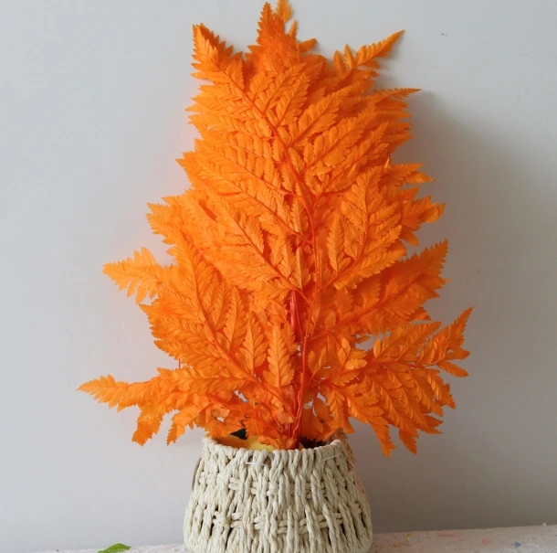 Dried fern leaves are used bouquet making and home furnishings of pickled alpine fern leaves Mother Day Christmas