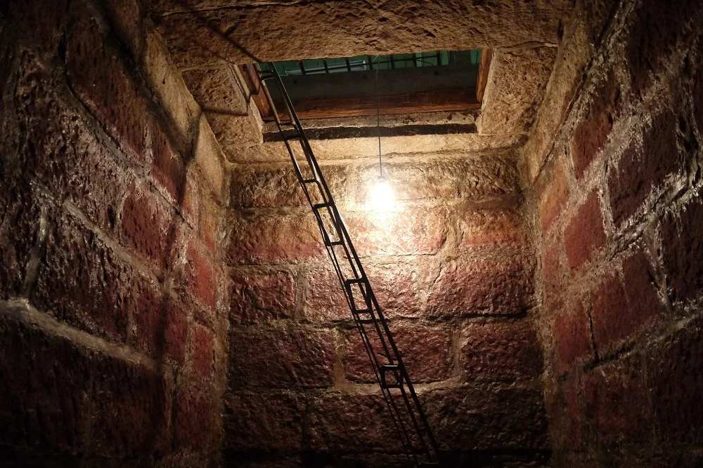 Japanese best brands produced red grape ishigura wine on sale