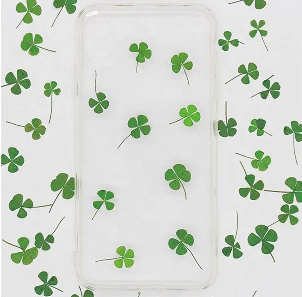 MNR1943 pressed and real dried four-leaf clover for DIY decoration