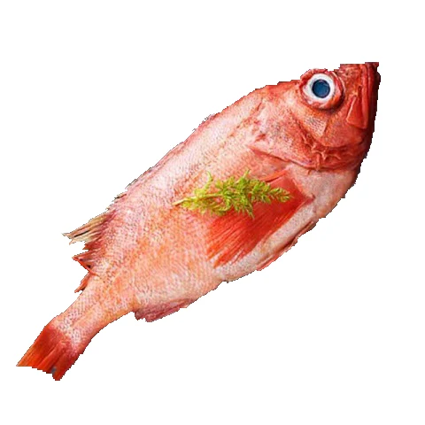 Shandong Ocean Village Food Clean and Delicious EU Standard Chemical Treated IQF Frozen