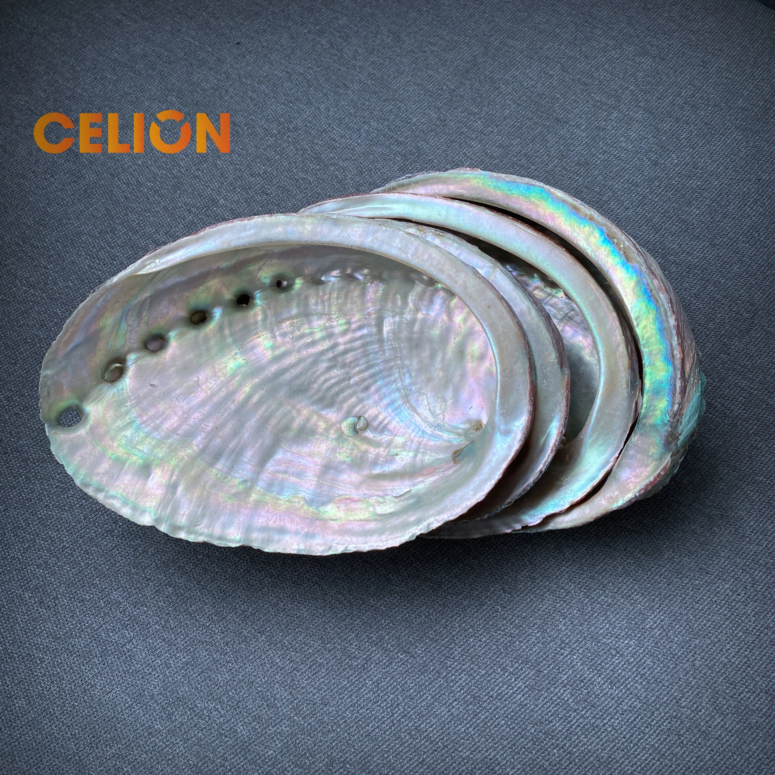 CELION Фабрика оптовая продажа натуральные материалы 4 дюйма ушка оболочек для растушевки