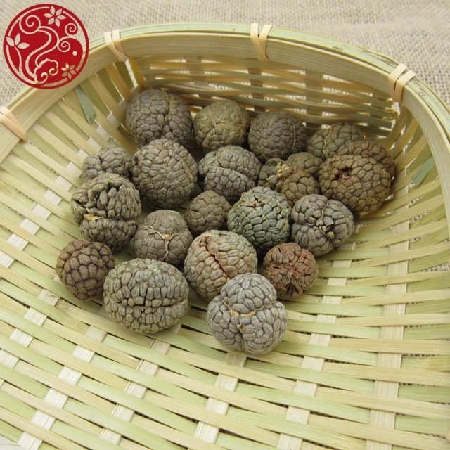 Semen Alpiniae Katsumadai Cao Dou Kou Katsumadai seed Dry dampness