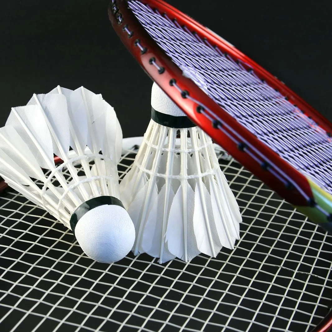 Newest Hotsale Racket Low Price Of Outdoor Badminton For Amateur Intermediate & Senior