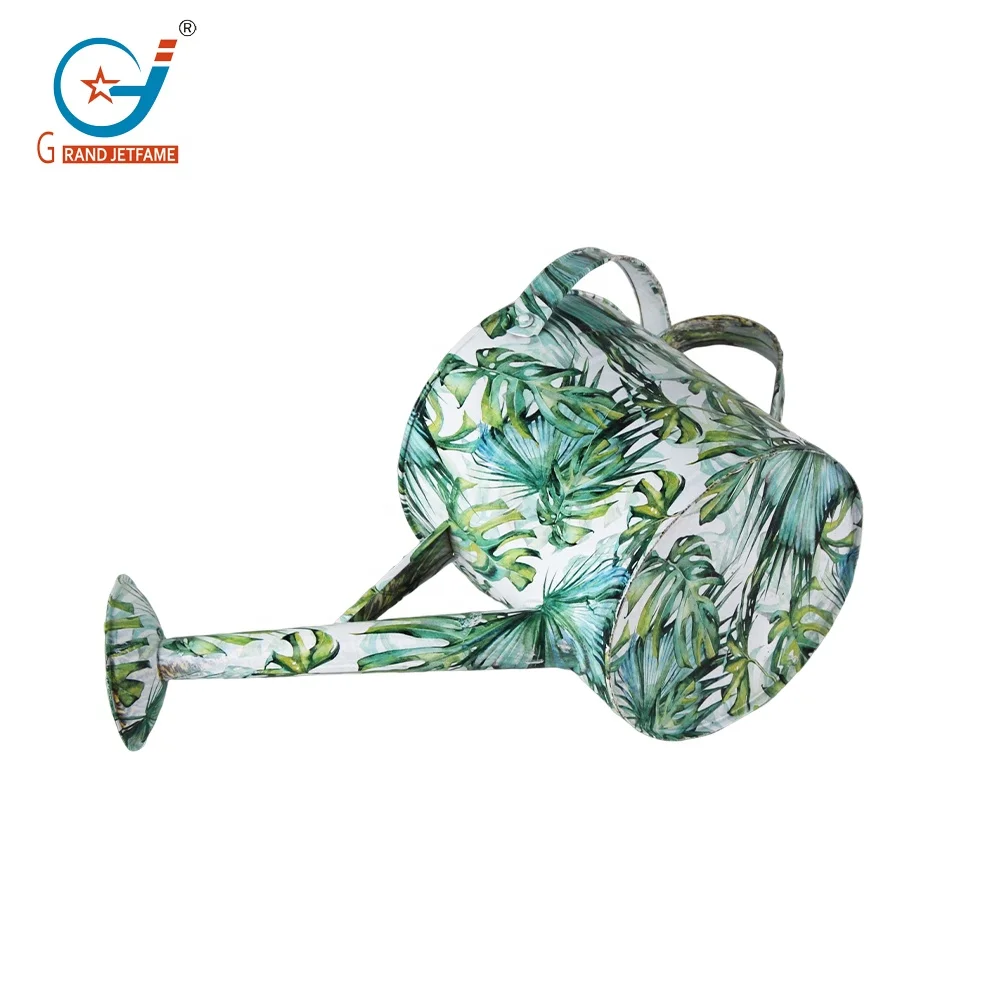 Metal Watering Can Galvanized Steel Watering Pot with Removable Spray Spout, Movable Upper Handle