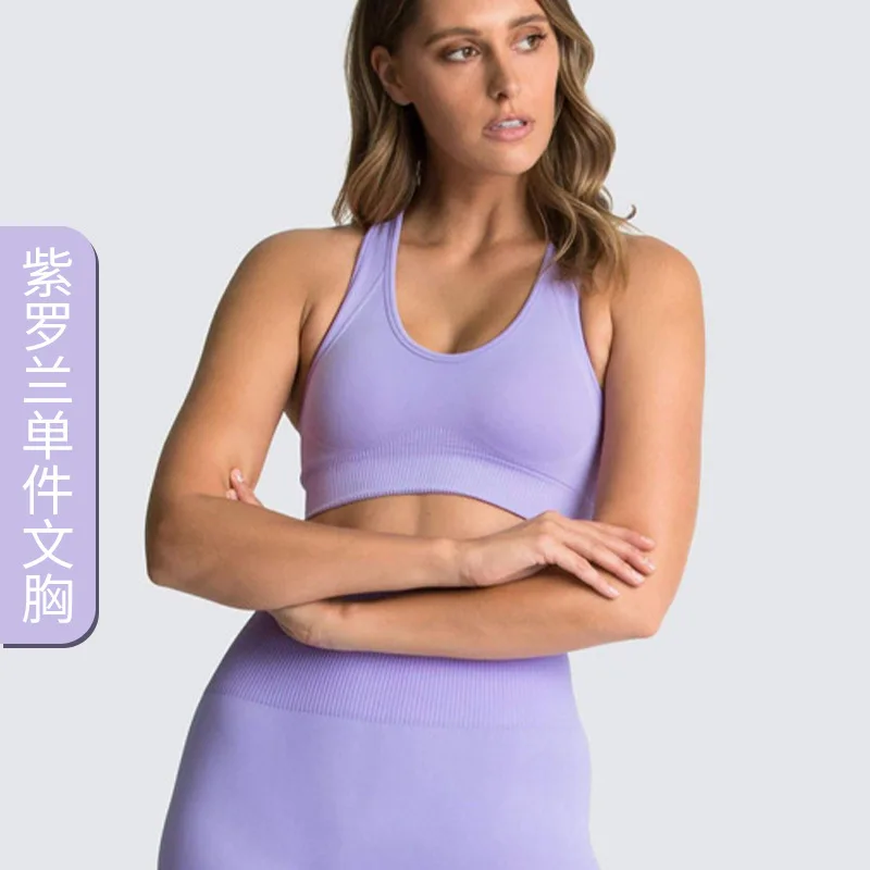 Sports Bra Tops Women's Gym Clothing Promotion Drop Shipping Seamless Pants Sportswear Casual Stretch Seamless Yoga Set