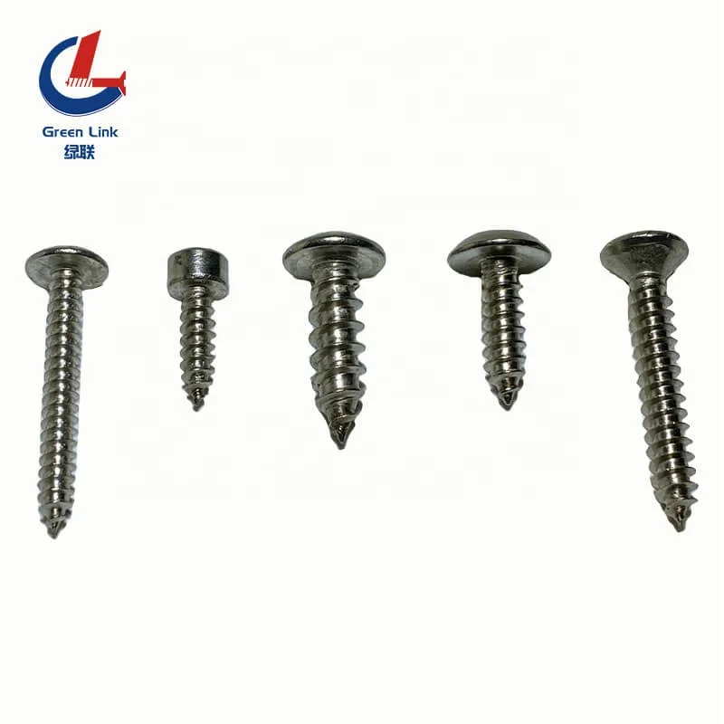 
Stainless Steel Self Tapping Screws All Kind Of Head Tapping Screw SS Self-tapping Screw 