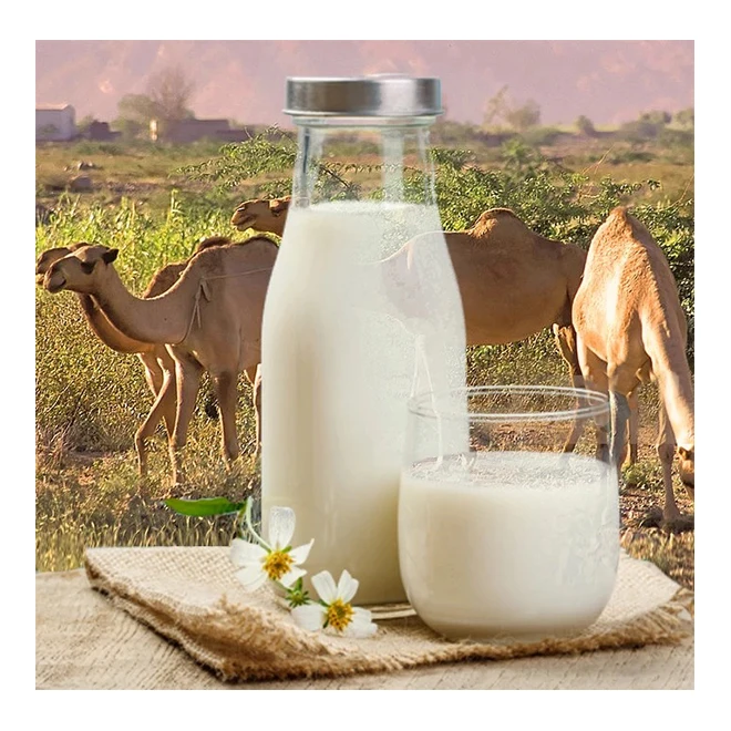 Kazakhstan hot sale healthy camel cream milk powder local price
