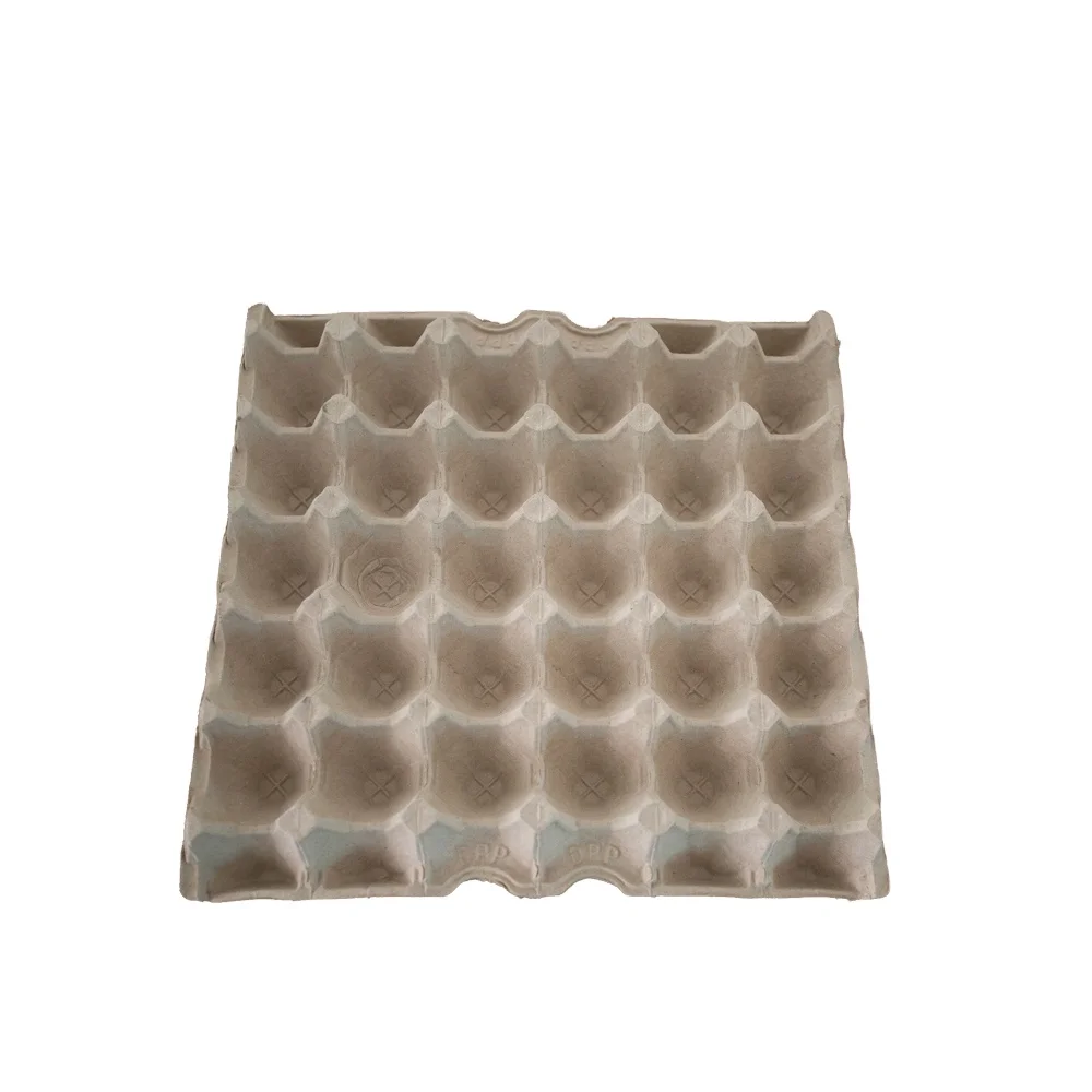 Fully Automatic Paper Egg Tray Making Machine Cheap Egg Tray Making Machine Price