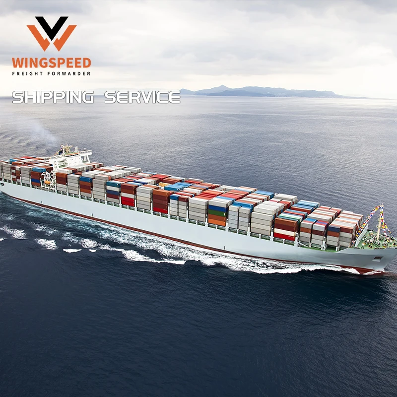 Professional Cheapest Sea Freight Freight Forwarder to USA Canada Germany UK From China shipping agent