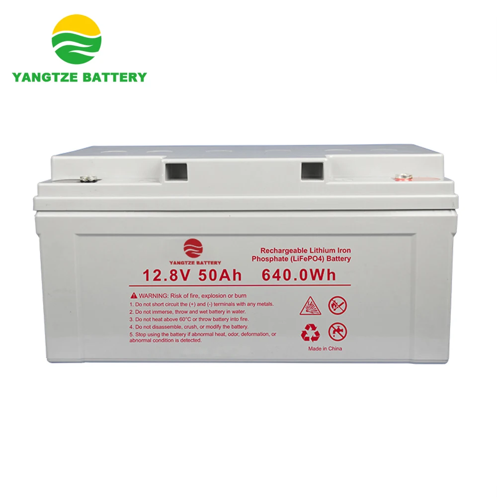 The top quality 12v 24v 48ah 50ah lithium battery for ebike