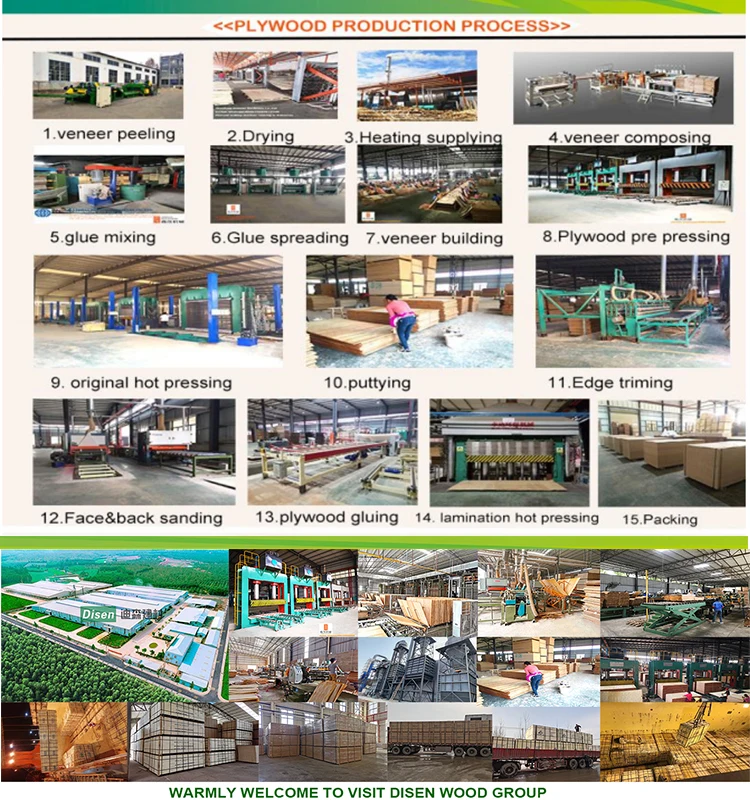 DISEN GROUP PLYWOOD (9).jpg