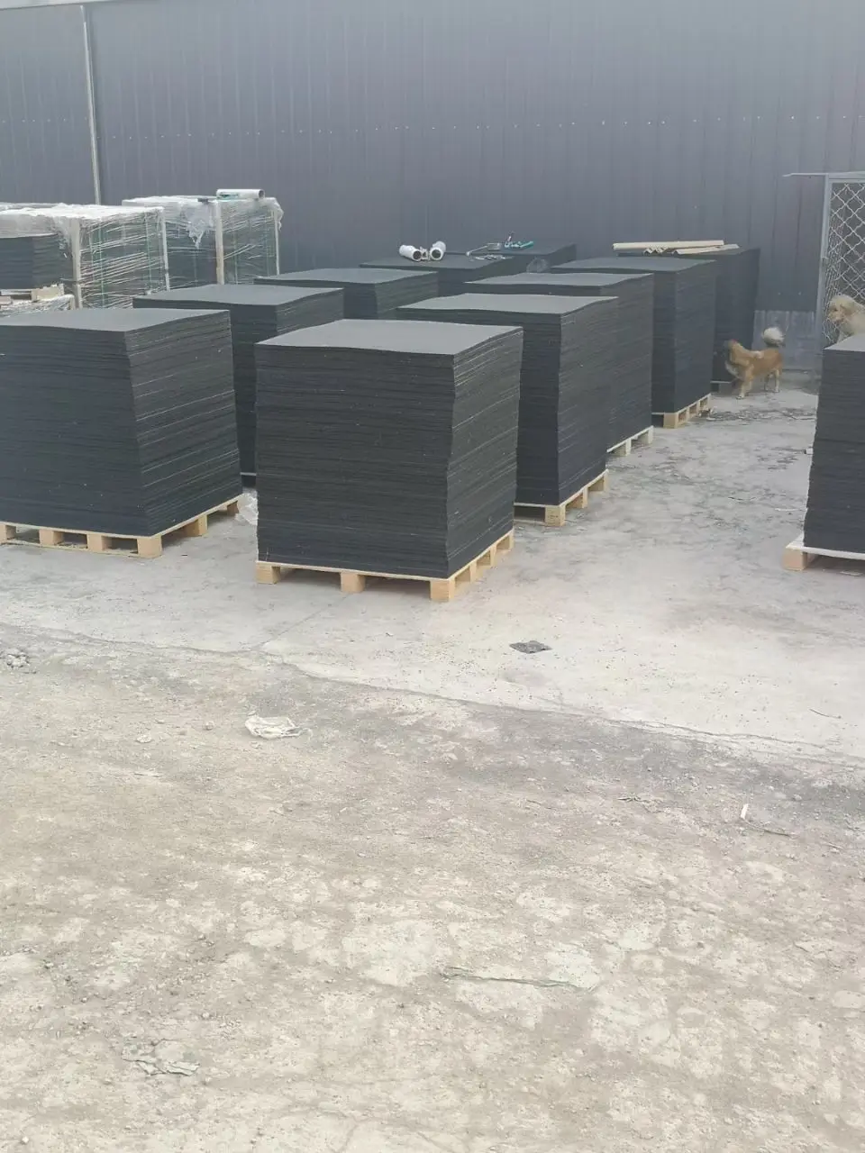 mmexport1608812959931.jpg