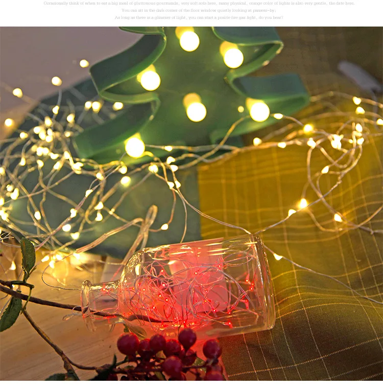 Tehoi Mini Copper Wire String Lights Led Fairy Lights for Holiday Decoration