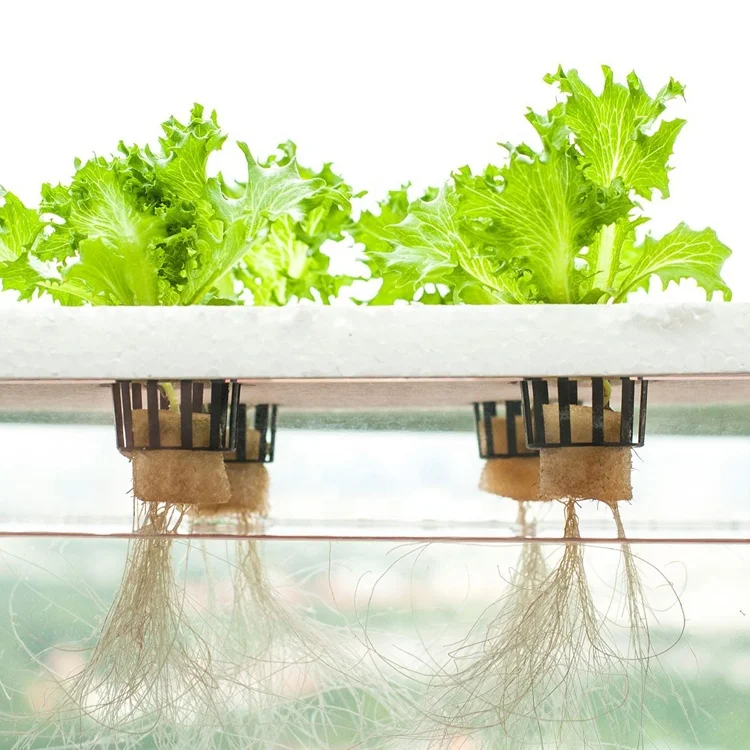 Greenhouse High Quality NFT Tubes Growing System Hydroponic PVC Pipe Vertical Channel for Selling