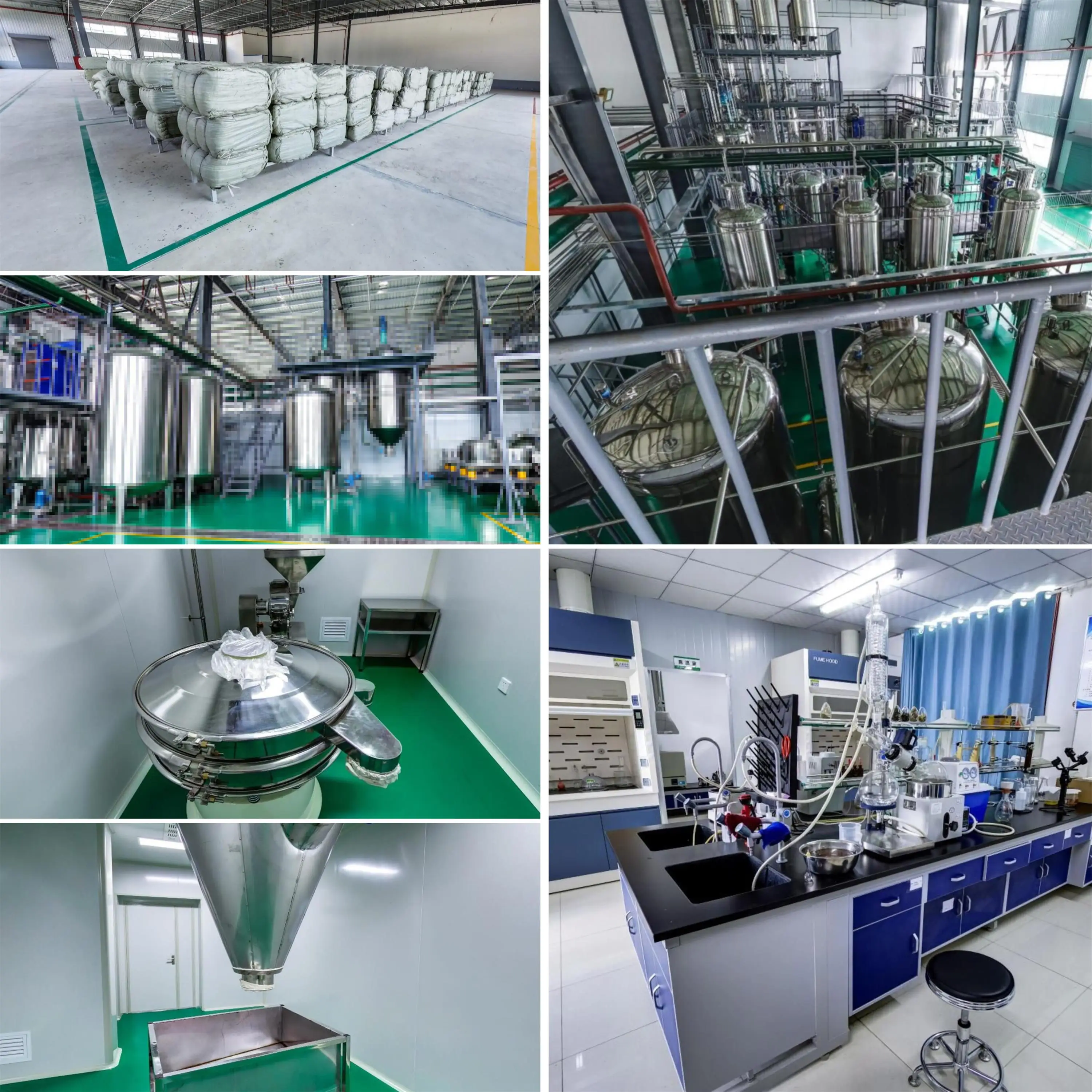 Rosemary Extract Powder High Quality Rosemary Extract Rosmarinic Acid 35% Extracto De Romero Factory Sale Direct High Quality