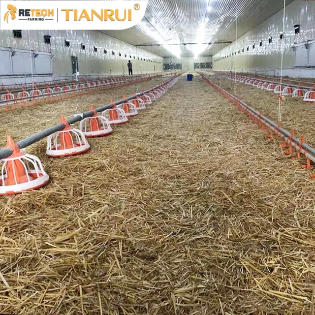  Оборудование для птицеводства автоматическая Батарейная клетка