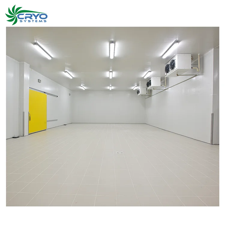 cold storage construction freezing room big freezer room price for frozen food