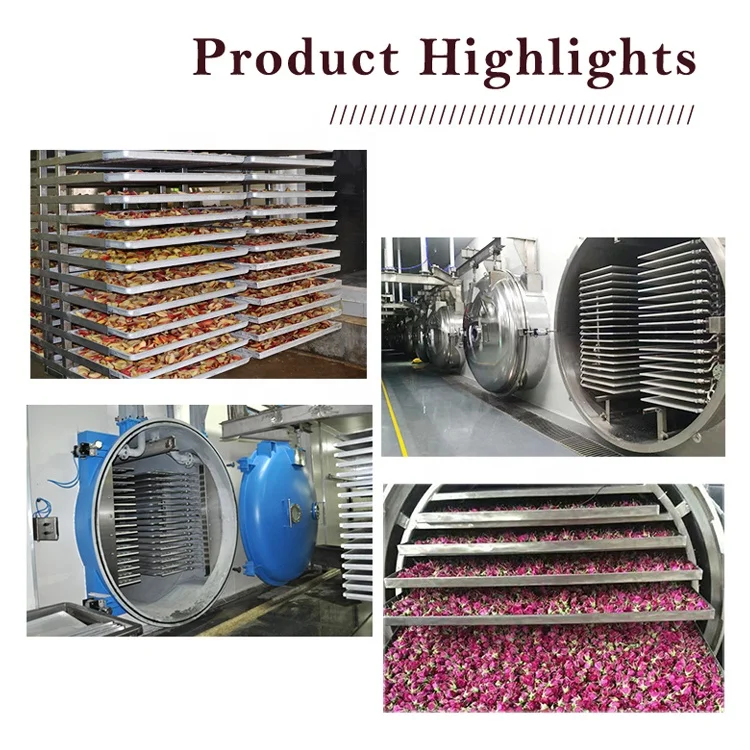 TCA 2000kg  herb freeze drying machine CE flowers freeze dryer