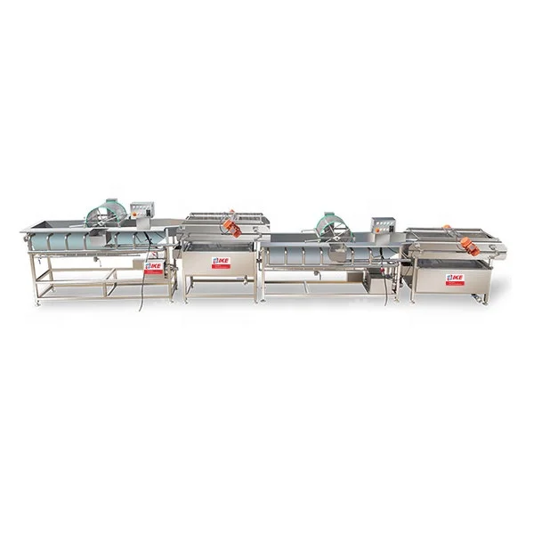 Vegetable washing and vibration dehydration production line