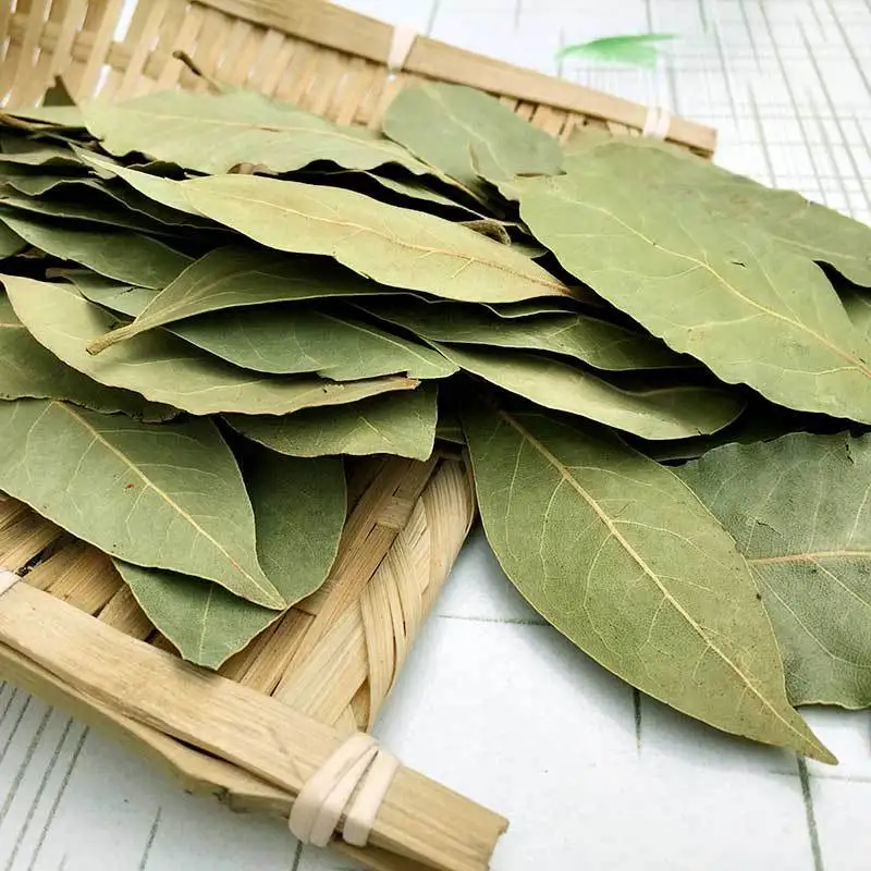 2020 New 100% Pure Cuisine Spices Dried Bay Leaves/Laurel Leaves