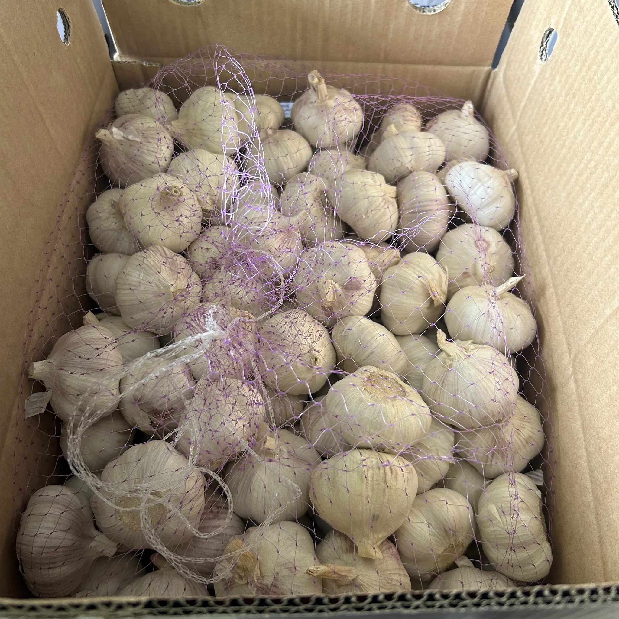 2024 Fresh Garlic Chinese Factory Direct Sale 3-4cm Sizes 10kg Mesh Bag Packed 5.0cm Red Garlic for Wholesale