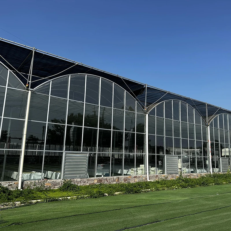 commercial Invernadero serre outdoor hothouse multispan green house glass greenhouse kit for tomatoes