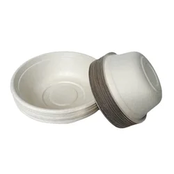 Disposable bagasse bowl take-out sugarcane packaging box degradable bagasse food container outdoor barbecue bowl Plate