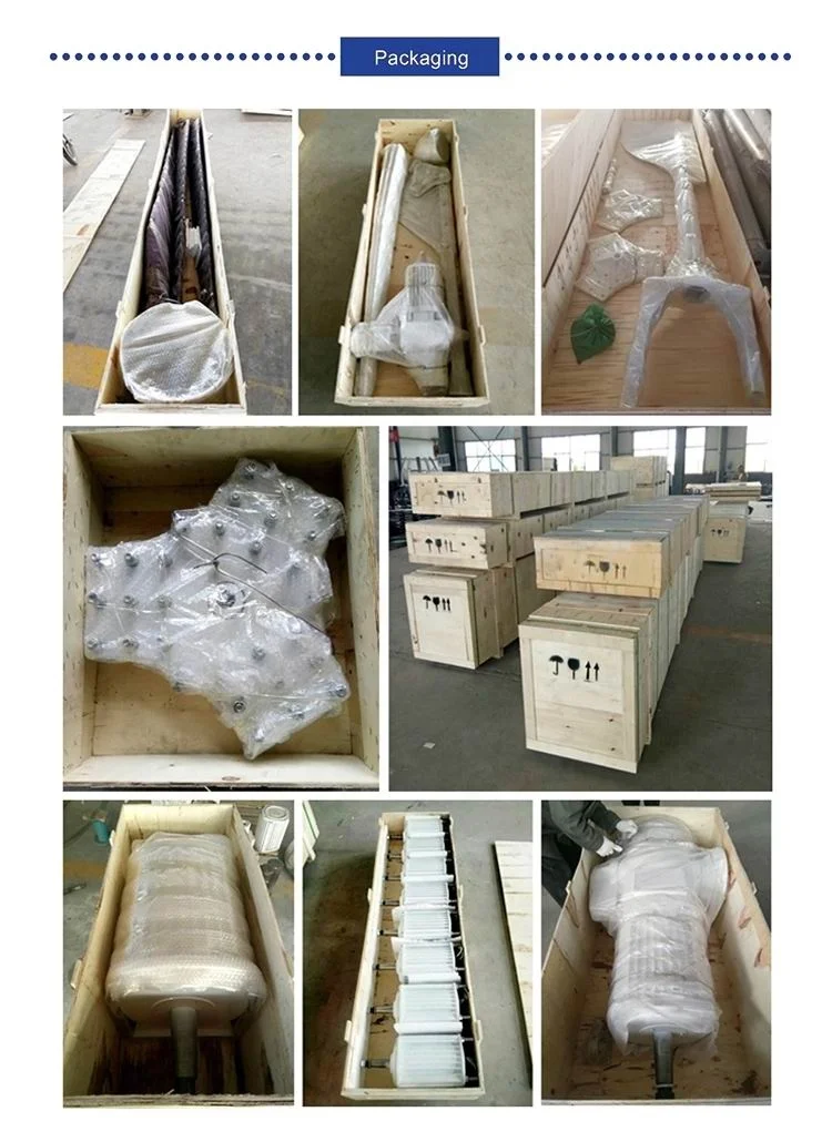 CE Complete Farm Use Alternative Energy Generators System 20KW 30KW Home Power Wind Turbine Generator 5kw 220v