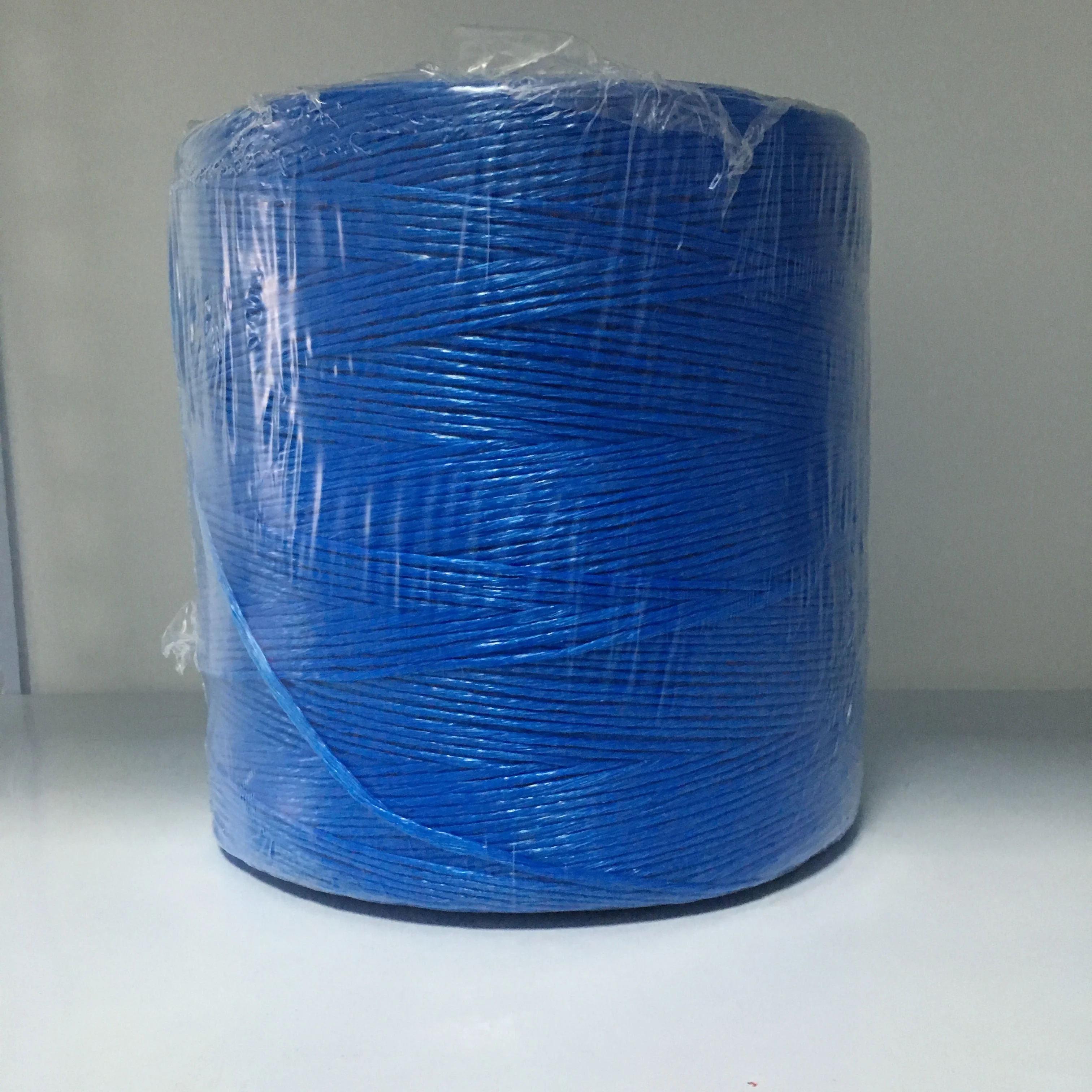 5kg 1.2g/m  blue and white color uv treated pp tomato twine for tomato and pepper plant in agricultural usage