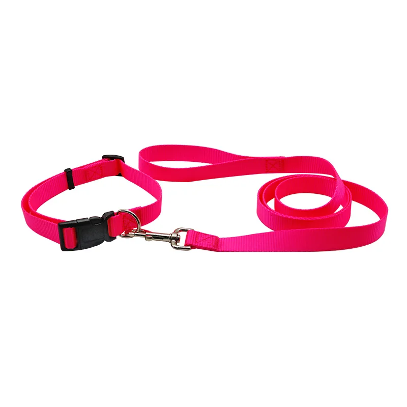 LH Pet Collars Leashes High Quality 5m Small Size RIBBONS Solid Nylon Dog Collar Rope Lead Set Collar Dog Nylon 1pc/opp Bag