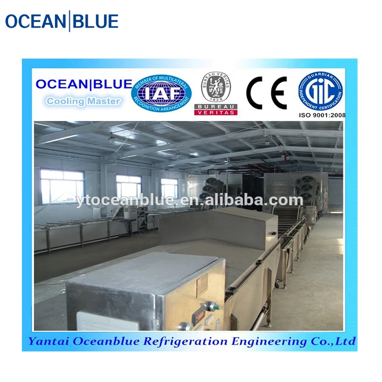Fish and Meat IQF  Industrial Freezing Equipment