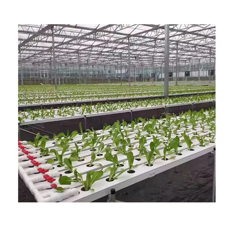 customize hydroponic nft pipe Greenhouse Pvc Flat Tube For Hydroponics Nft System Hydroponic Nft Channel Grow Systems