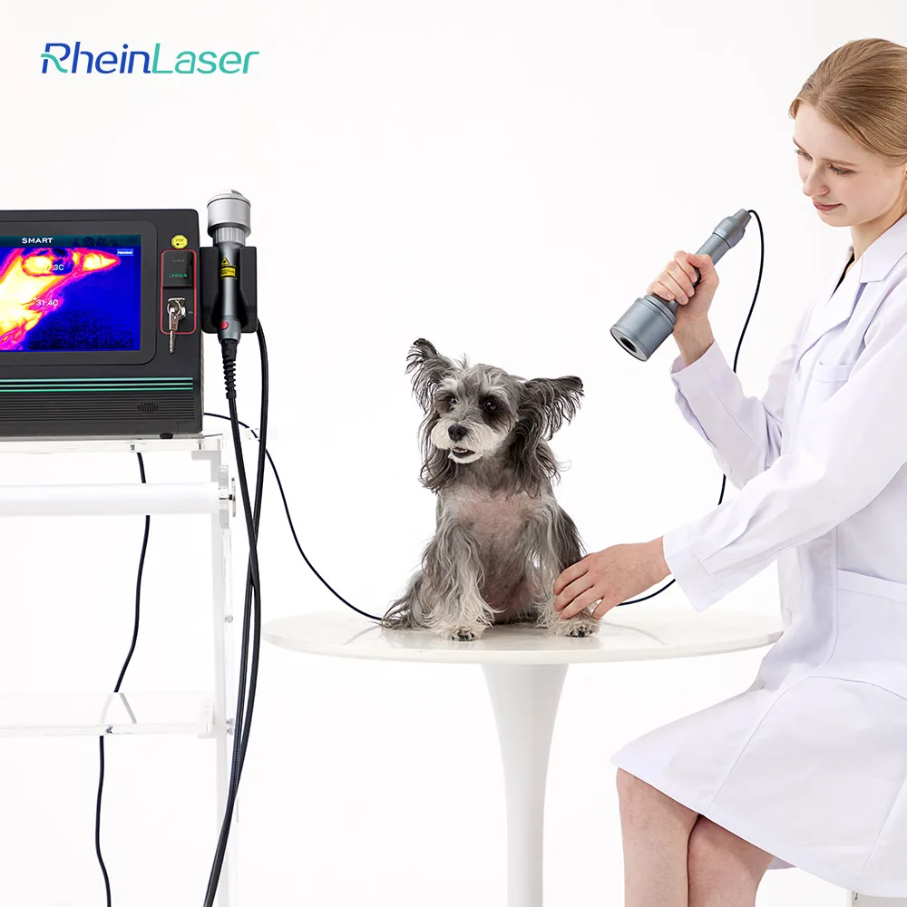 Factory-Price Physiotherapy Laser Therapy 635nm 810nm 915nm 980nm Veterinary Therapy Treatment For Inflammation And Injuries