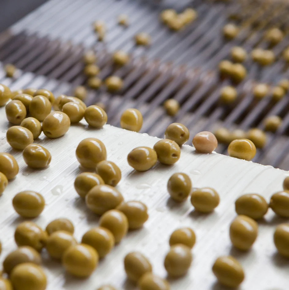 Hot Selling Excellent Taste Appetizer Pitted Green Olives Drained Weight 120 Gr In Cans For Best Restaurant