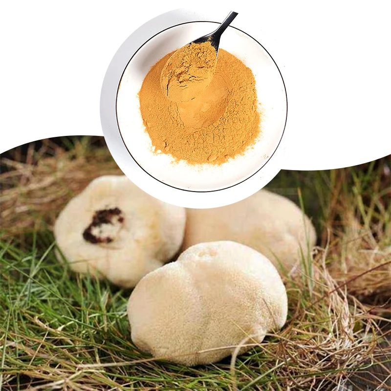 Best selling superior quality liquid-solid extraction lions mane extract