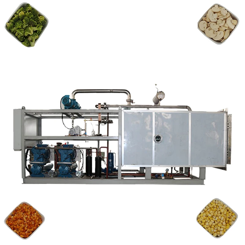 Manufactory Wholesale high working efficiency lyophilized in situ sublimation condensation home use freeze dryer