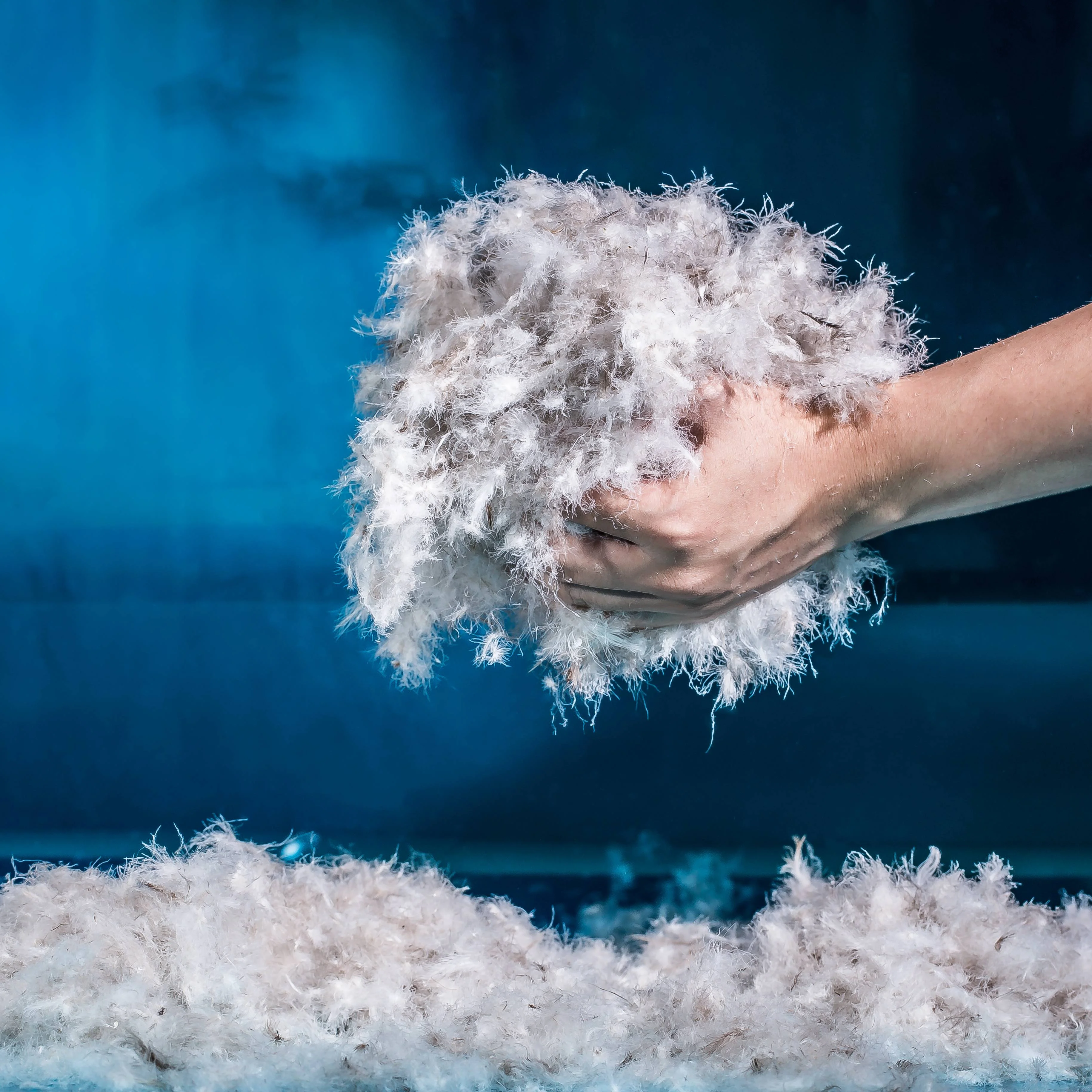 
Wholesale High Quality Washed 60% Gray Duck Down Feather Down Raw Material From China 