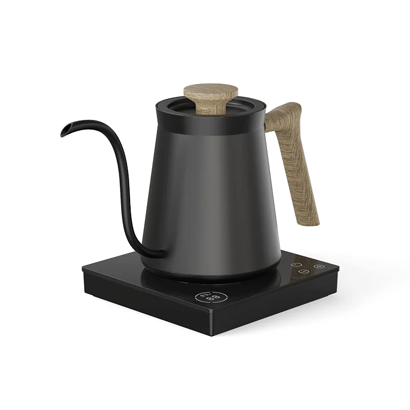 Ranbem Flash Boil and Keep Warm Settings Pour Over Kettle Brewing Tea Electric Coffee Pot with Thermometer