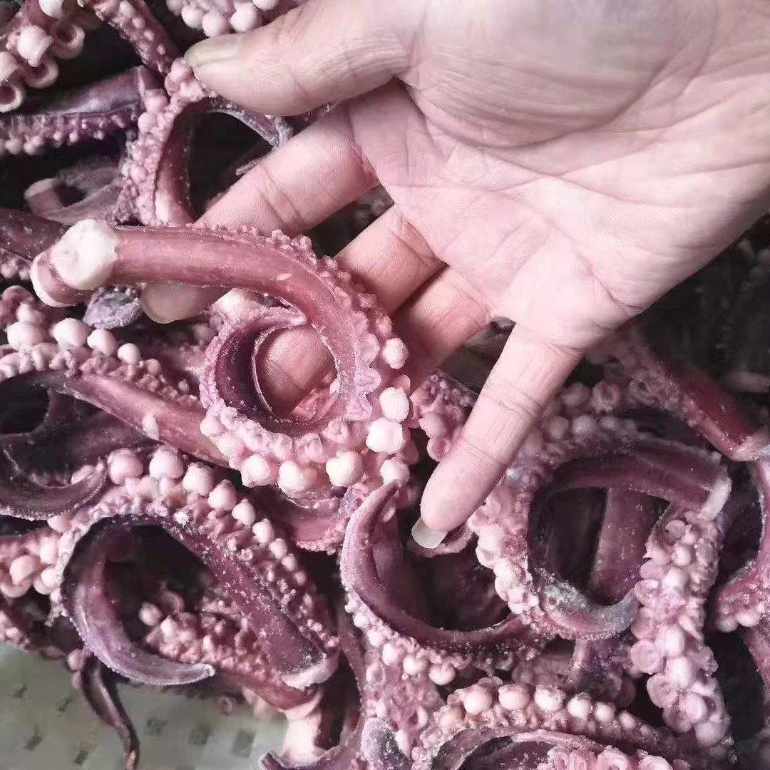  Хит продаж экспортные сушеные морепродукты замороженные игральные кости lолиго каламара Каламар перуанские щупальца