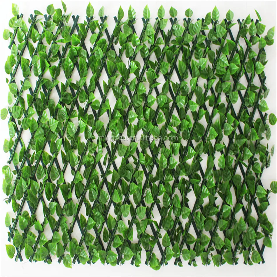 Eco-expandable Ivy fence