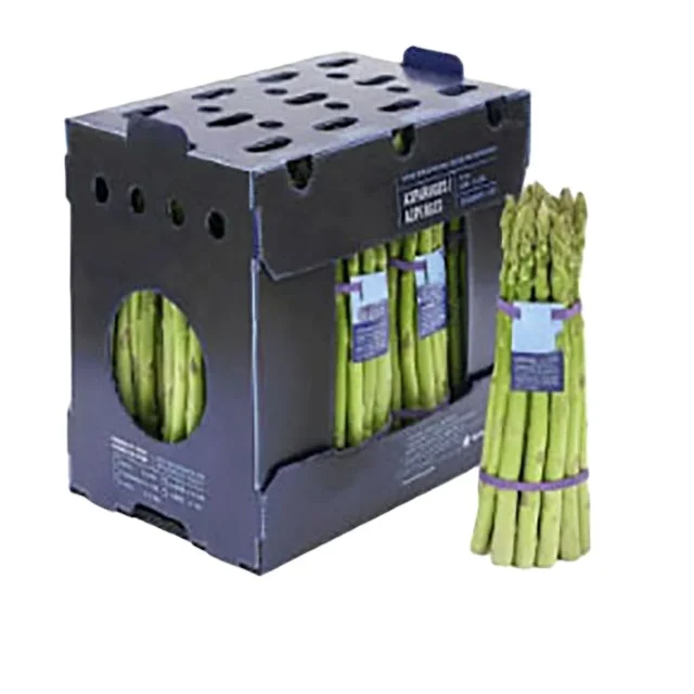 Corruone foldable waterproof Fluted Polypropylene Correx Storage Box PP fresh fruit asparagus packing delivery box container