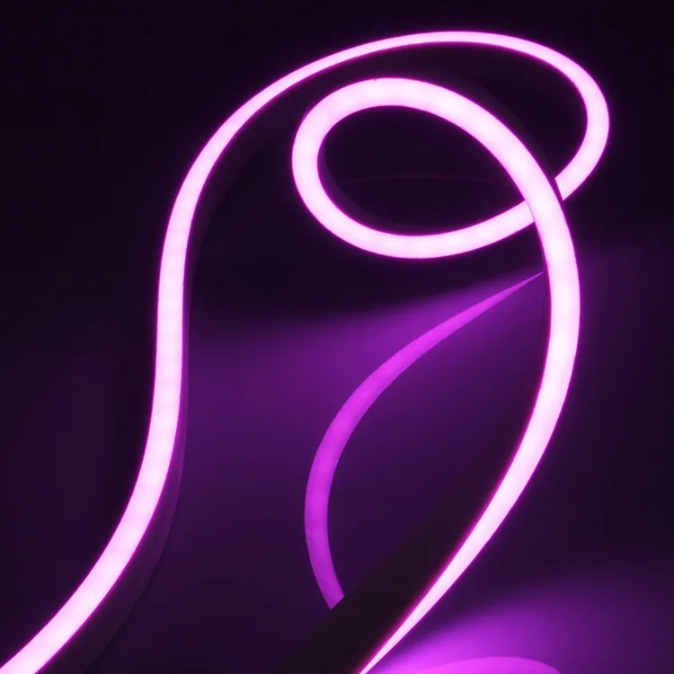 Matt Beautiful LED Neon Rope light IP65 Flex Neon light 220V 110V 24V 12V