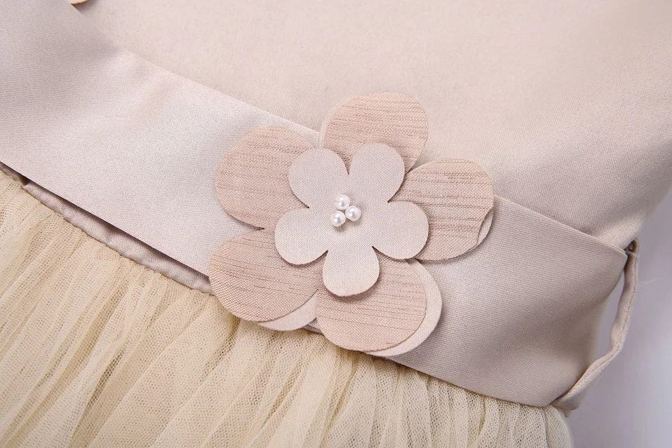 Pettigirl Sleeveless Khaki Girl Holiday Dresses 3D Floral Appliques Soft Tulle Flower Girl Dress Princess Dress Up Clothes