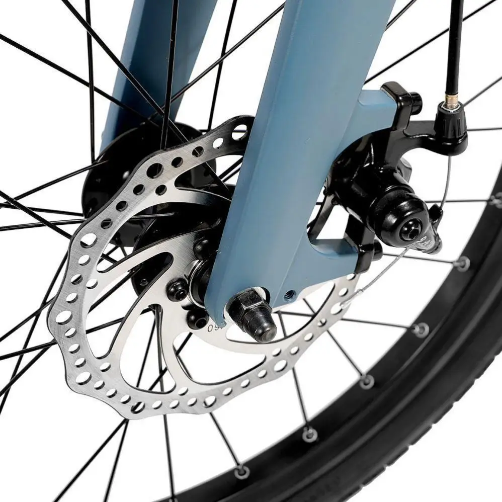 [Poland Stock] FIIDO D11 Folding Electric Moped Bicycle 20 Inches Tire 25km/h Max Speed Three Modes 11.6AH Lithium Battery