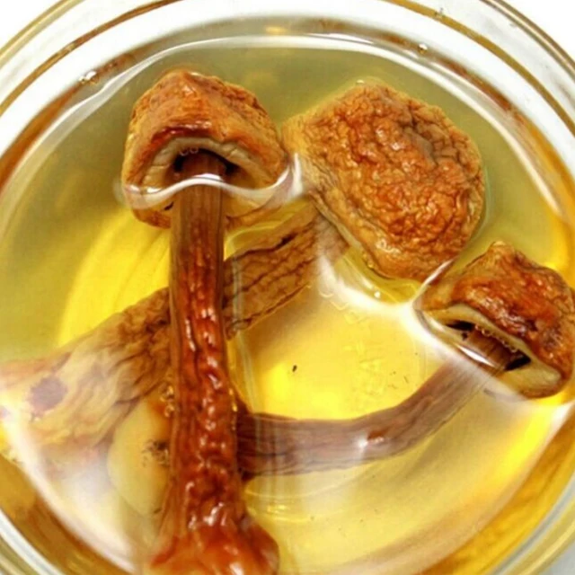 High quality semi-wild delicious organic health food Matsutake mushroom dried