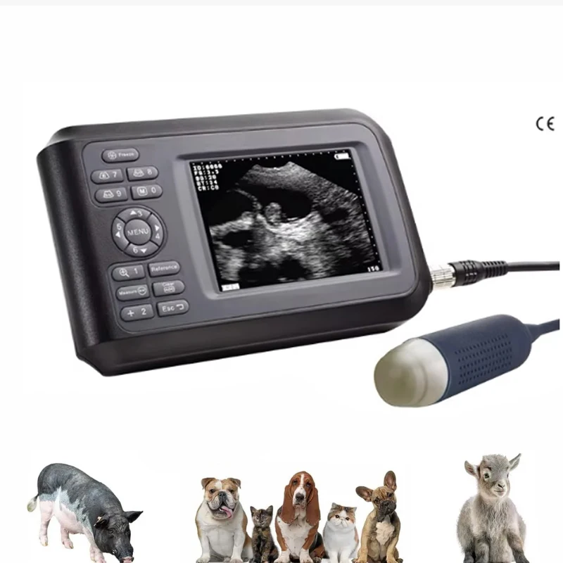 Veterinary Equipment 3.5 MHz Convex Probe Veterinary Portable Ultrasound Scanner Pregnancy Test Machine For Dogs, Sheep And Pigs